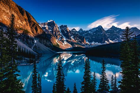 壁紙加拿大山湖泊公园Moraine Lake岩云杉属班夫国家公园大自然下载照片