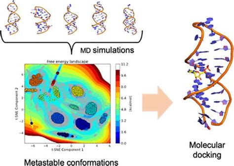 使用来自多个独立分子动力学模拟的亚稳态预测适体 小分子相互作用journal Of Chemical Information And