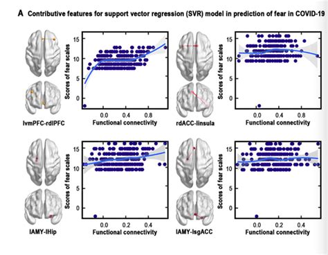 冯廷勇教授团队在《cerebral Cortex》发文揭示疫情前恐惧相关的神经网络可预测疫情中的恐惧易感性 心理学部