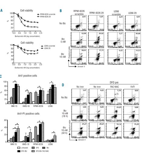 Cell Viability Of Multiple Myeloma Cell Lines Treated With Bortezomib