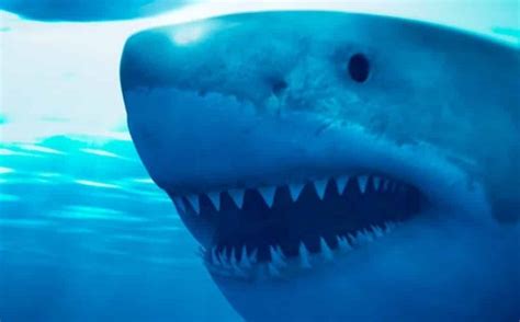 'Deep Blue Sea 2' - The Terrible Shark Movie Sequel You Didn't Know Existed