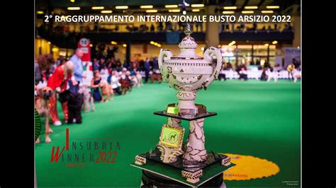 2 RAGGRUPPAMENTO INTERNAZIONALE BUSTO ARSIZIO INSUBRIA WINNER CIRCUIT