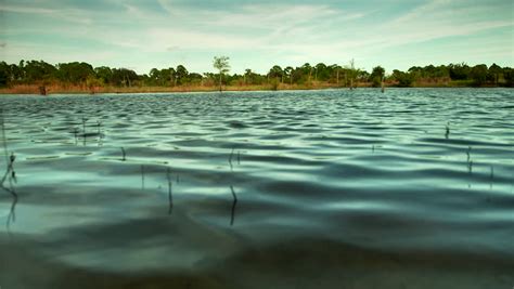 fresh lake water stream current stock footage video  royalty