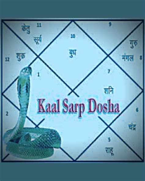 Buy Kaal Sarp Dosha Puja Online Original And Lab Certified