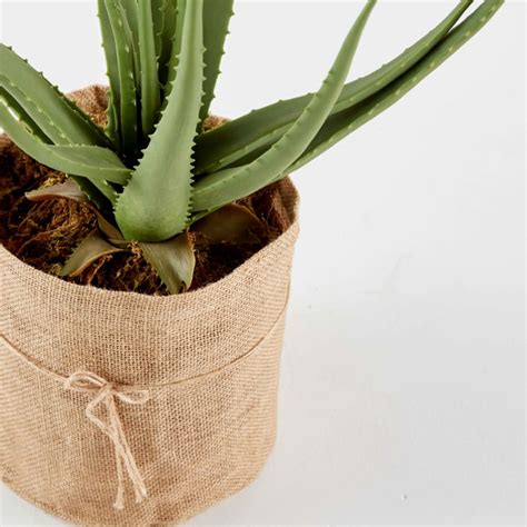 Plante Artificielle Avec Pot Aloe Vera Hauteur Cm Vert O Ko