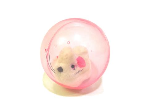 Hamster Ball Chew Time