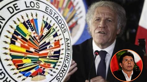 Luis Benavente Lamentó Informe Preliminar De La Oea “es Clara La