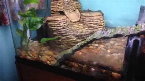 Custom Made Paludarium Setup For Tiger Salamander Youtube