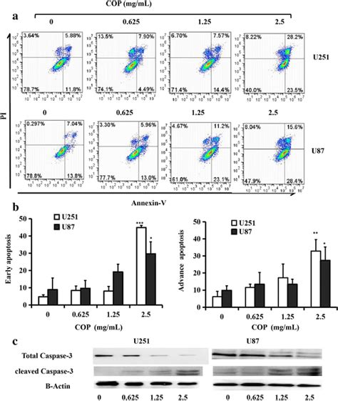 Effect Of Cop On Cell Apoptosis A U251 And U87 Cells Were Treated With Download Scientific