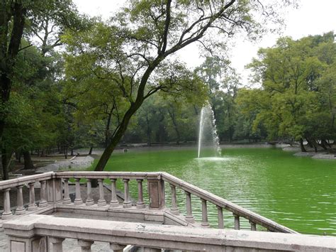 Lake Chapultepec in Miguel Hidalgo: 14 reviews and 25 photos