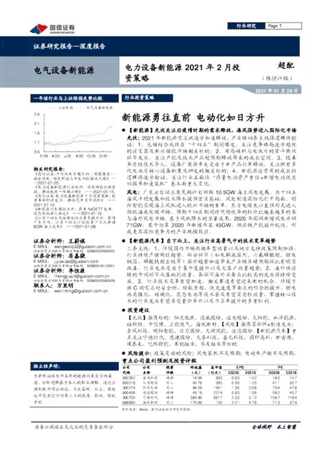 电力设备新能源2021年2月投资策略：新能源勇往直前，电动化如日方升