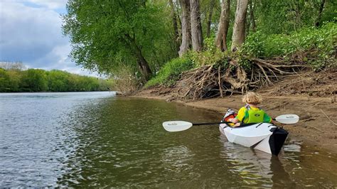 Ohio River Kayak Tour Buckley Island Ohio River Islands National Wildlife Refuge