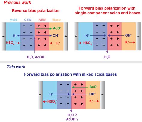 bpm cells operating  reverse bias    bias