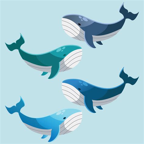 Vector illustration of kawaii cute whale characters. set of characters ...