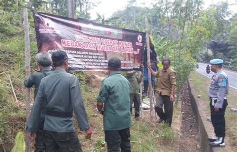 Cegah Karhutla Polri Tni Perhutani Dan Kecamatan Di Kalipucang