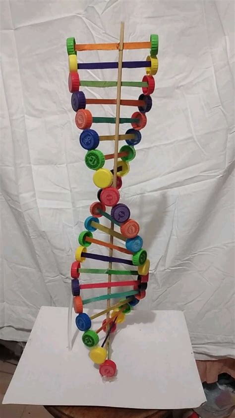 Como Hacer La Maqueta Del Adn Facil Paso A Paso Artofit