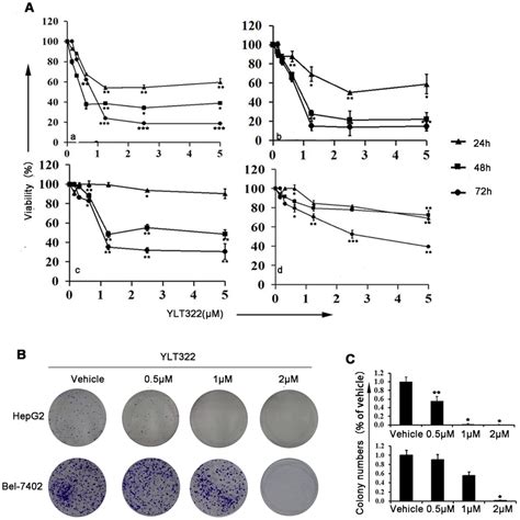 Inhibition Of Cell Growth And Colony Formation In Human Cancer Cell