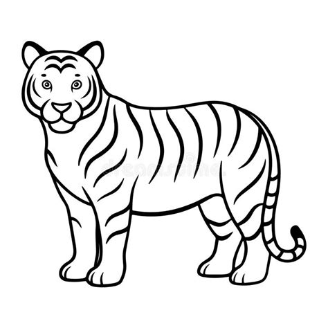 Tiger Line Art Silhouette Vector Illustration Isolated on a White ...