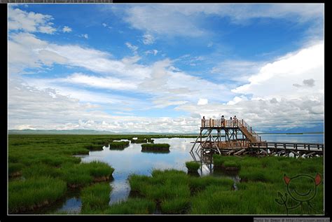 若尔盖花湖阿坝旅游攻略