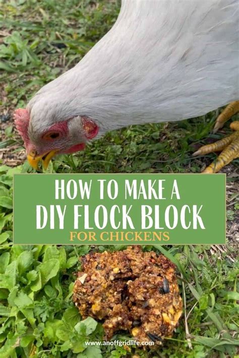 DIY Flock Block For Chickens An Off Grid Life