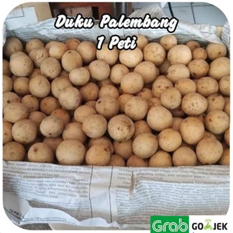 Jual Duku Palembang Peti Berat Kg Manis Fresh Shopee Indonesia