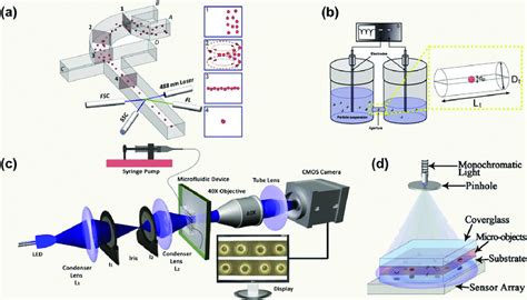 Representative Schematics Of Optofluidic Cytometer Impedance