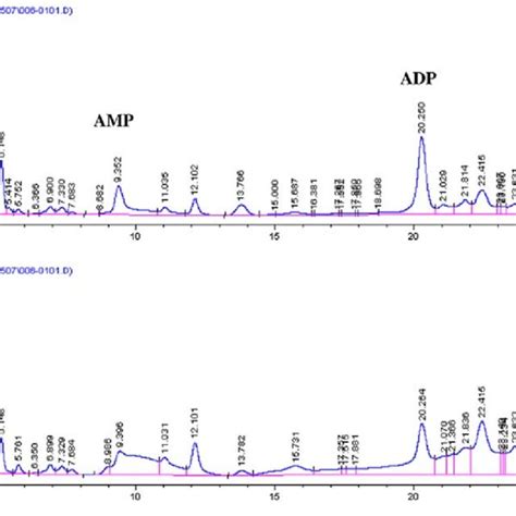 Hplc Pattern Of Lithium Treated Rat Brain Extract Download Scientific