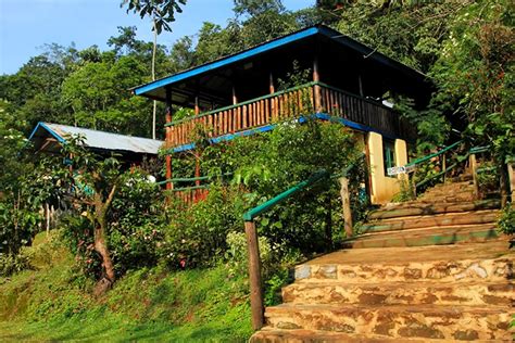 Where To Stay In Bwindi Forest National Park