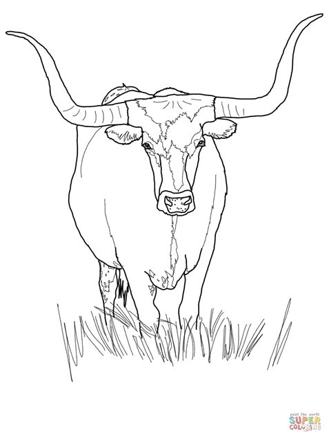 Texas Longhorn Skull Coloring Pages