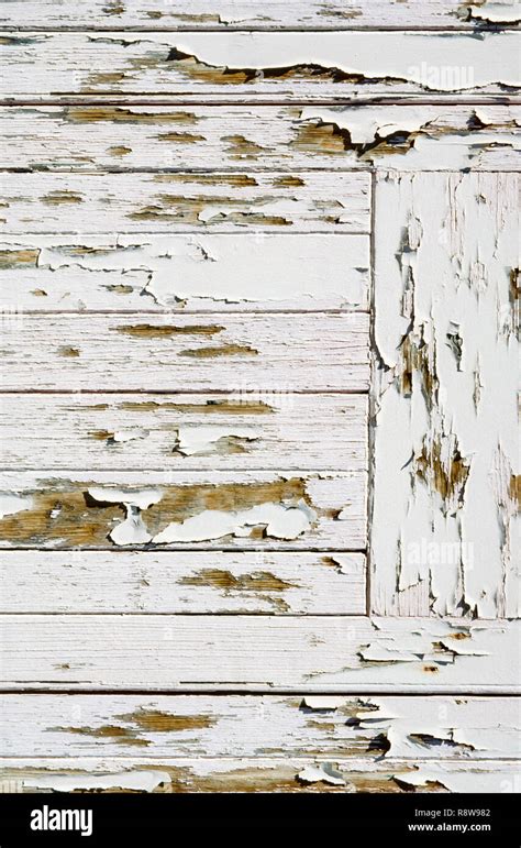 Close Up Detail Of Cracked And Peeling White Paint Stock Photo Alamy