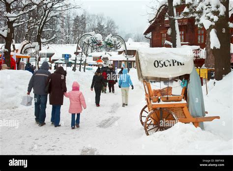 Winter snow scenery in Zakopane Village, Poland Stock Photo: 22478604 ...