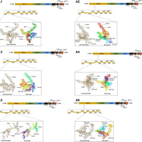 3d Model Of The Rna Of Nsp Coding Regions Nsp1nsp16 Shows The