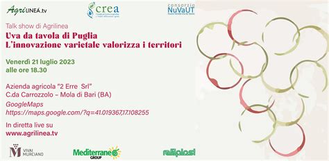 Talk Show Uva Da Tavola Di Puglia L Innovazione Varietale Valorizza