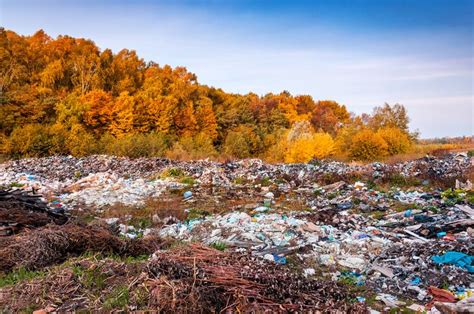 Contaminación Del Suelo Causas Consecuencias Y Soluciones Resumen