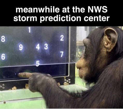 magic 8 ball forecasts : r/memes