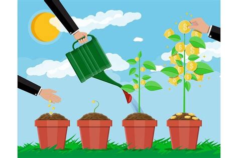 growing money tree stages