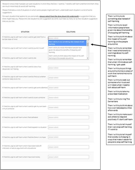 Exploring the acceptability of a brief online theory-based intervention