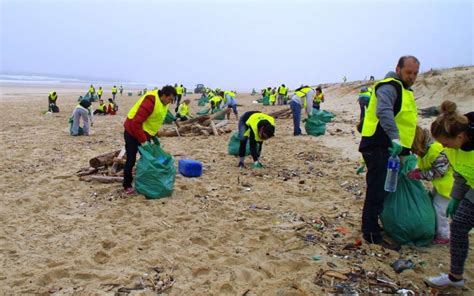 Grand Nettoyage Des Plages