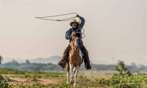 The 12 Largest Ranches In Texas