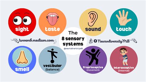 What Are The Sensory Systems Your Senses Explained And 60 Off