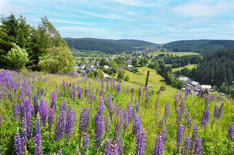 Ferienhäuser in Scheibe Alsbach Neuhaus am Rennweg im Thüringer Wald