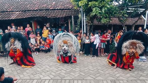 Aksi Barongan Terbaru Bujang Ganong Dan Jaranan Seni Barong Taruno Adi