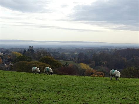 Walk: The Whitcliffe Walk - Welcome to Yorkshire