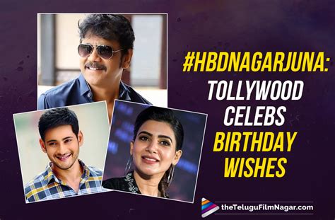 Happy Birthday Nagarjuna Mahesh Babu To Samantha Akkineni Tollywood