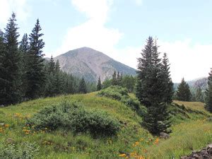 Flagstaff Arizona S Inner Basin Hiking Trail Is Aspen Heaven