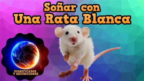 Descubre Qu Significa So Ar Con Una Rata Blanca Interpretaci N De Sue Os