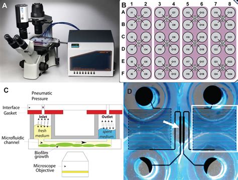 Bioflux High Throughput System For Screening Of Flow Biofilm Viability