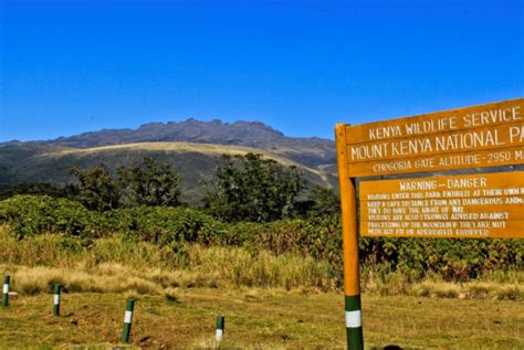 Mount Kenya National Park Safari Alderley Tours And Travel