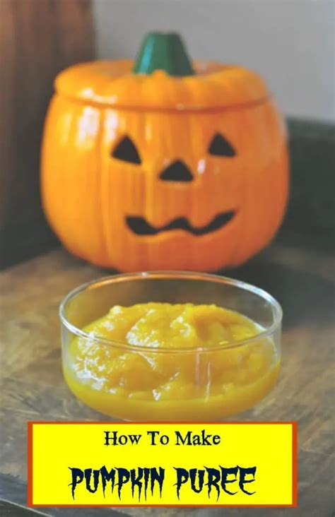 How to Make Pumpkin Puree for Dogs - Recipes