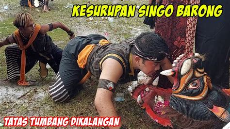 Serem Hilang Sadar Kesurupan Singo Barong Saat Pentas Ttw Youtube